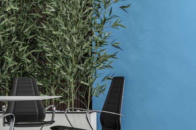 empty chairs in an office