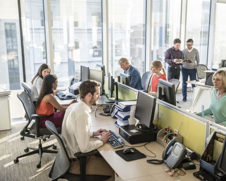 group of employees sitting on a bank working
